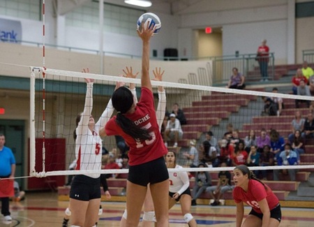 Redhawks Sweep D'Youville, Advance to Fourth Straight AMCC Tournament Semifinal