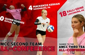 Three Redhawks Earn AMCC Volleyball All-Conference Accolades
